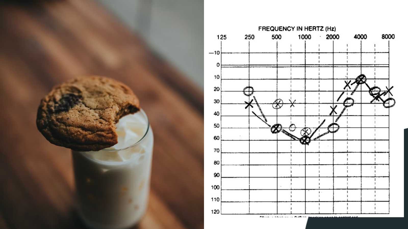 CookieBite Hearing Loss Explained Tests, Treatments, Causes